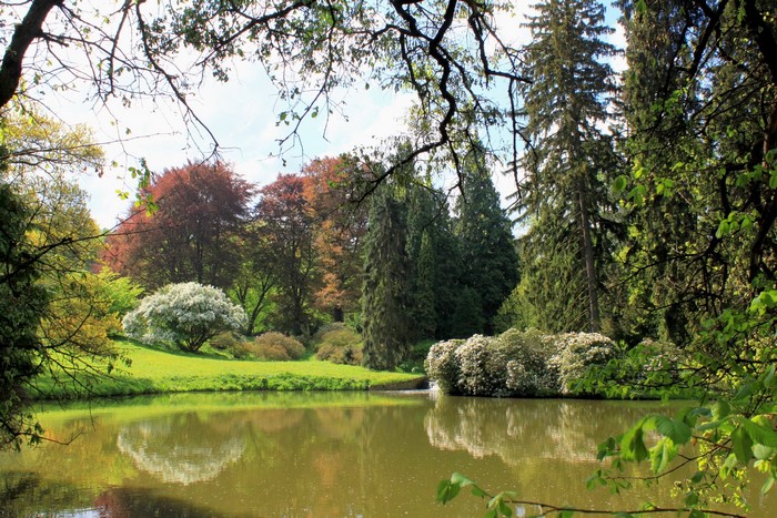 Pruhonice Park with Lake and Trees, Czech Republic