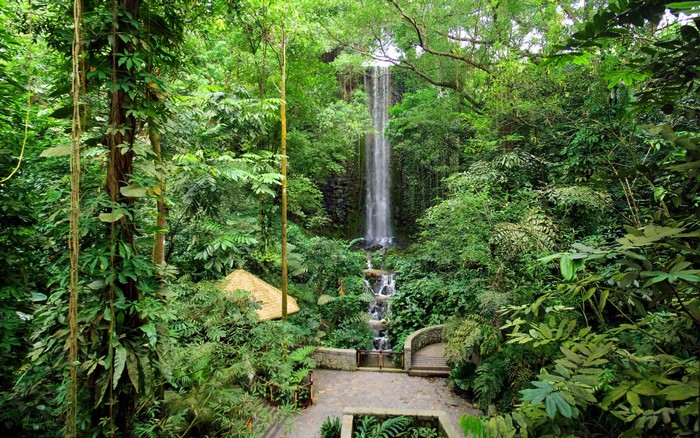 Waterfall in a lush green jungle with a thatched hut