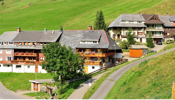 Houses on a grassy hillside in Germany