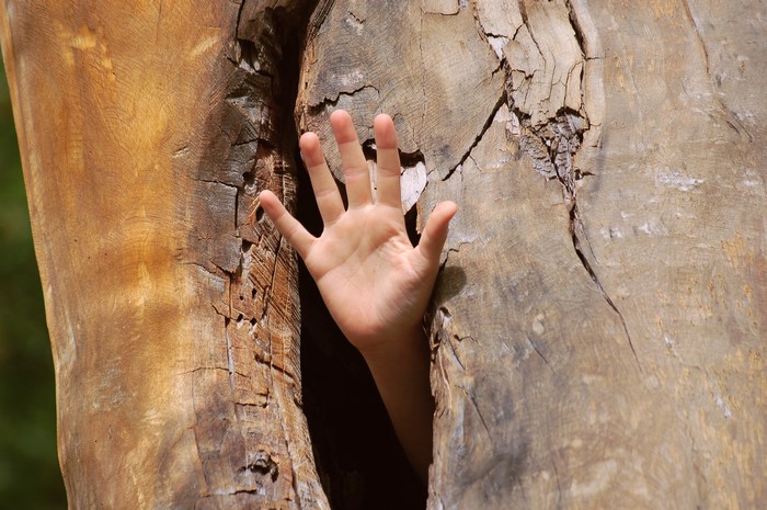 Child's hand emerging from a tree hollow