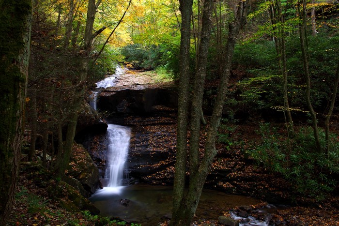 Waterfall in a forest during autumn