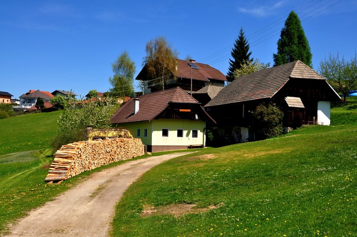 Houses on a grassy hill in Carinthia, Austria