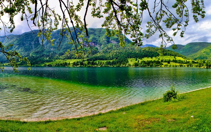 Lake Bohinj with mountains and trees