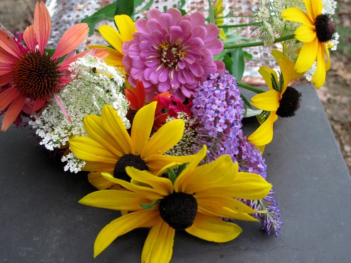 Bouquet of colorful summer flowers