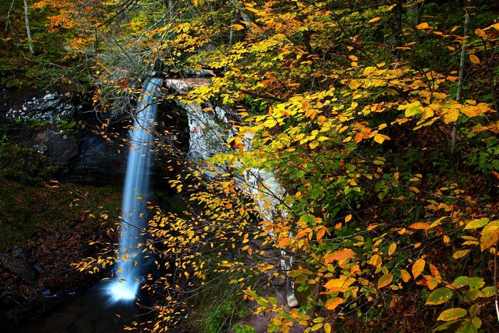 Waterfall in Autumn Forest