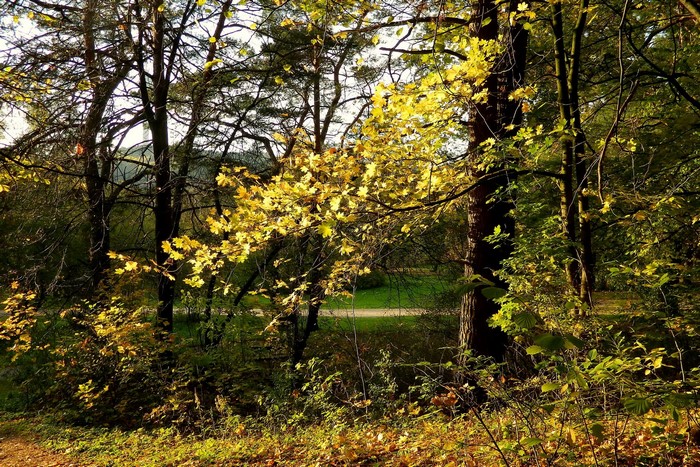 Autumn in Vingio Parkas, Vilnius, Lithuania