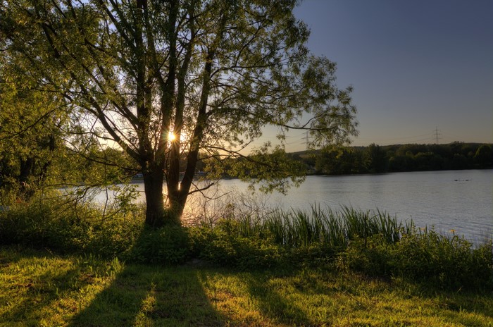 Sunset over a lake with trees and grass