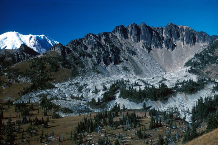 Mount Rainier National Park, Washington, USA