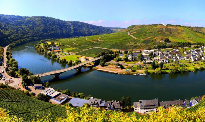 River valley with vineyards and a town in Germany