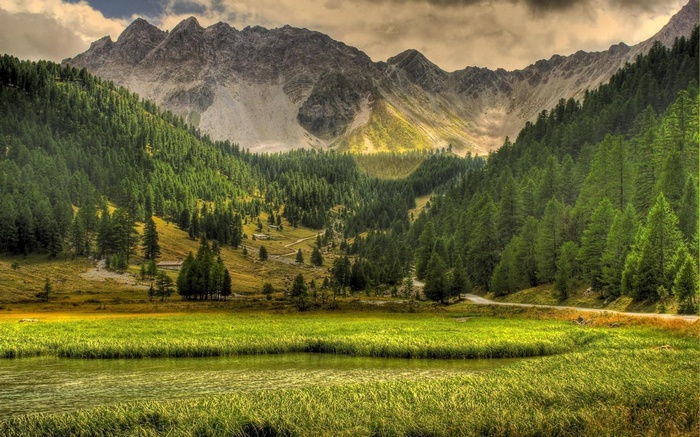 Mountain valley with green forest and river