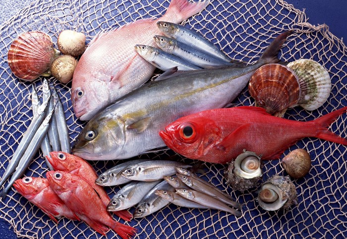 Assortment of fresh seafood and fish on a net