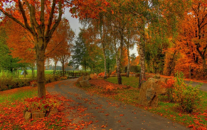 Serene Autumn Road with Vibrant Fall Foliage