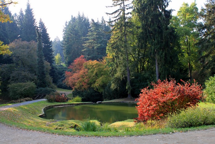 Autumn park with a pond and colorful trees