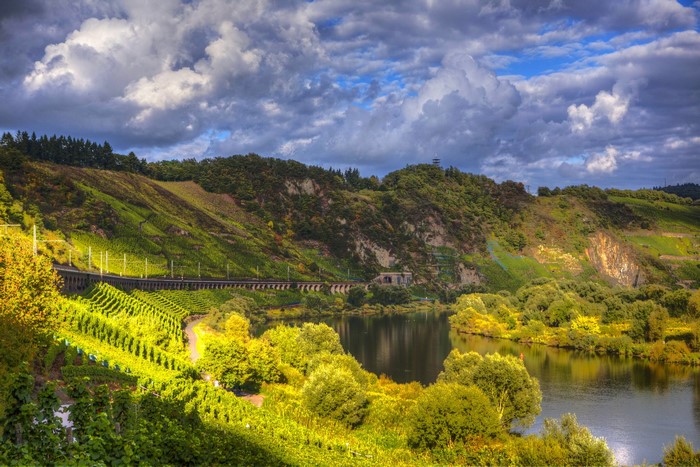 River and Vineyards with Train Tracks