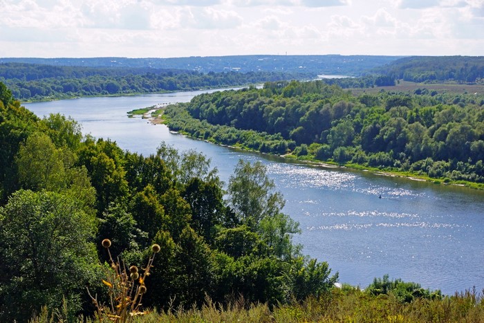 Wide river flowing through a forested landscape under a cloudy sky