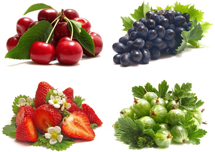Cherries, Grapes, Strawberries, and Gooseberries