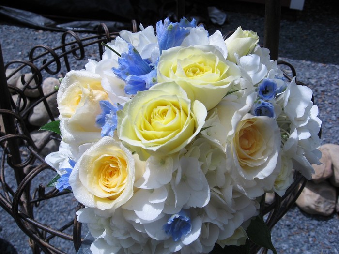 Bouquet of yellow roses and white hydrangeas with blue accents