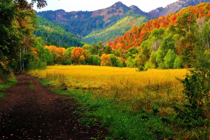 Autumn mountain valley with a dirt path and golden field