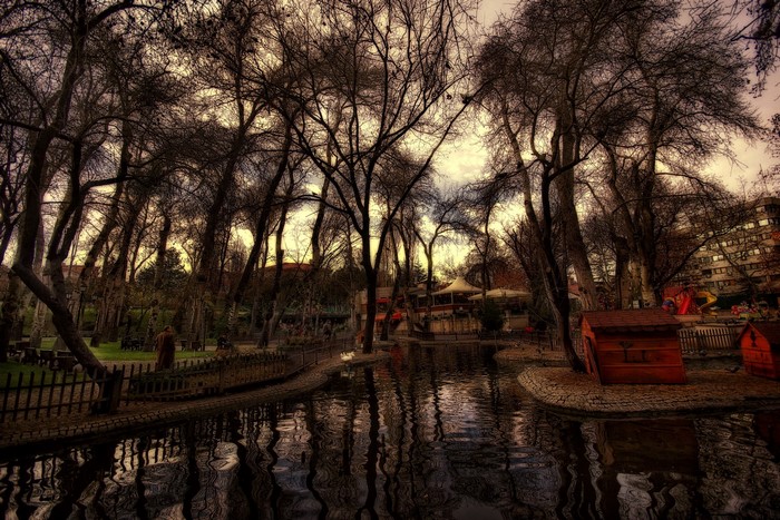 Kugulu Park in Ankara with a pond and trees