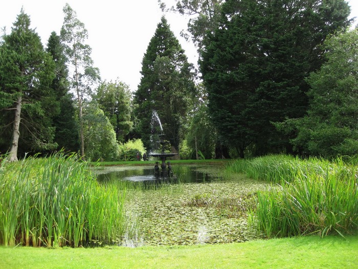 Garden pond with fountain and tall trees