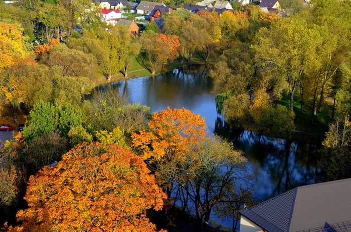 Autumn park with a pond and houses