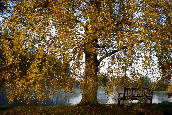 Autumn scene with a bench by a lake in Vilnius, Lithuania