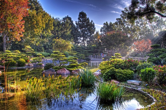Earl Burns Miller Japanese Garden Pond in California