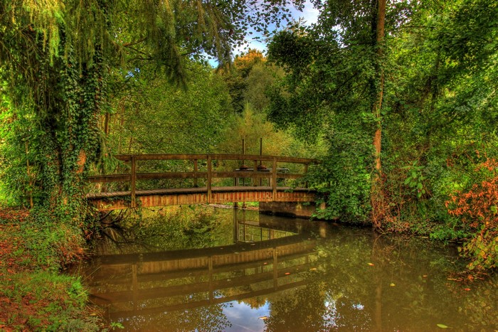 Wooden bridge over a calm river surrounded by trees