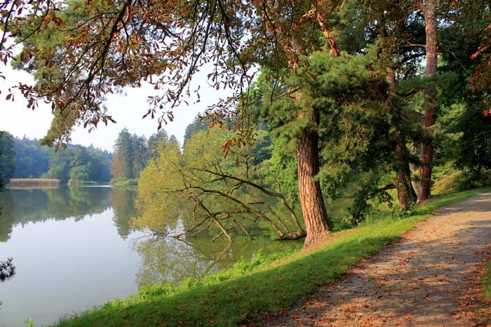 A tranquil lake surrounded by trees and a walking path