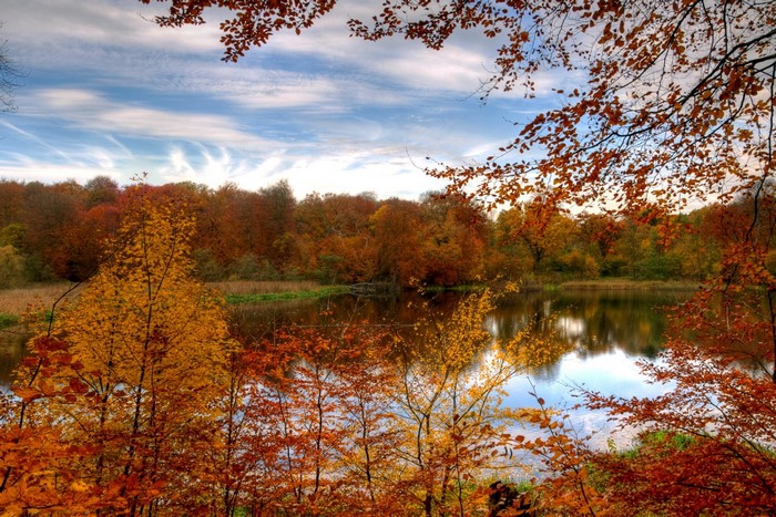 Autumn forest reflecting in a lake under a cloudy sky