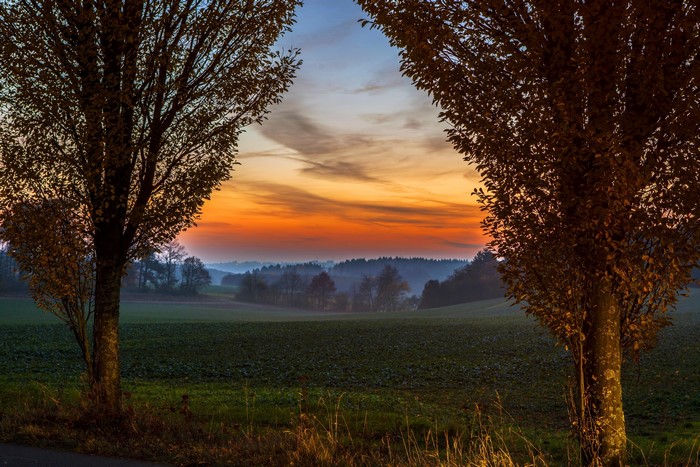 Autumn sunset over German countryside with trees