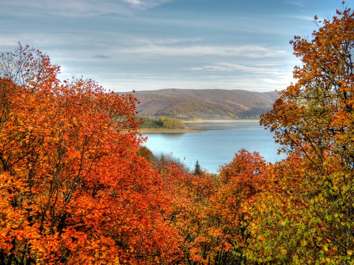 Autumn trees overlooking a lake and hills