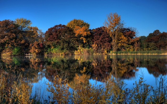 Autumn trees reflecting in a calm lake