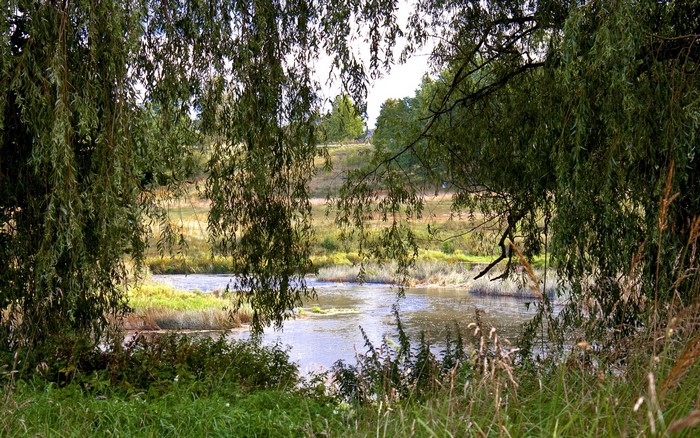 River and trees in Latvia