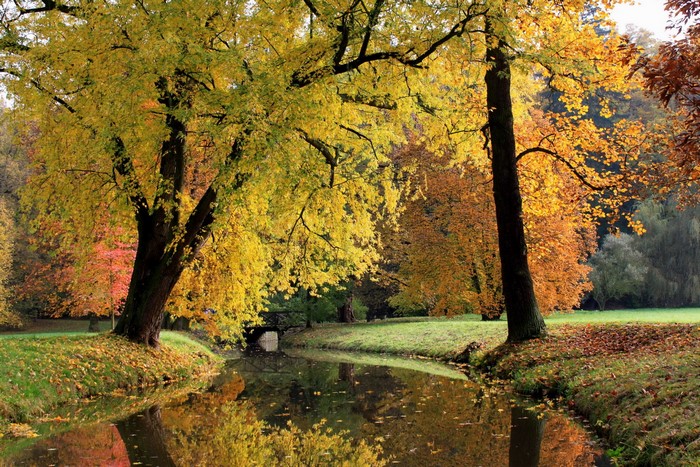 Autumn park with a river and trees in Pruhonice, Czech Republic