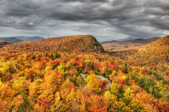 Autumn forest in Vermont under cloudy sky