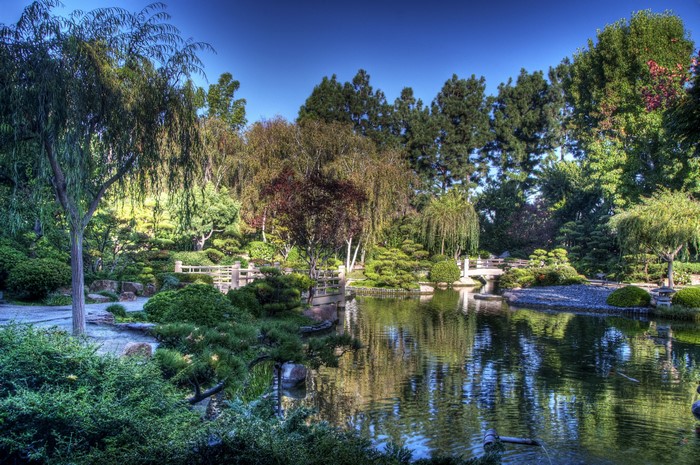 Earl Burns Miller Japanese Garden in California