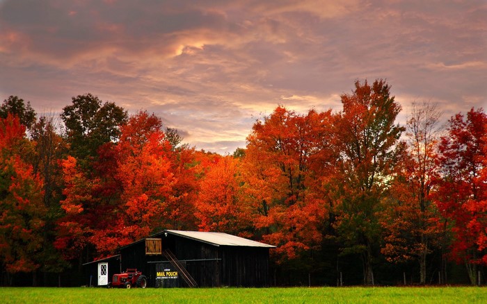 Barn and tractor in autumn foliage