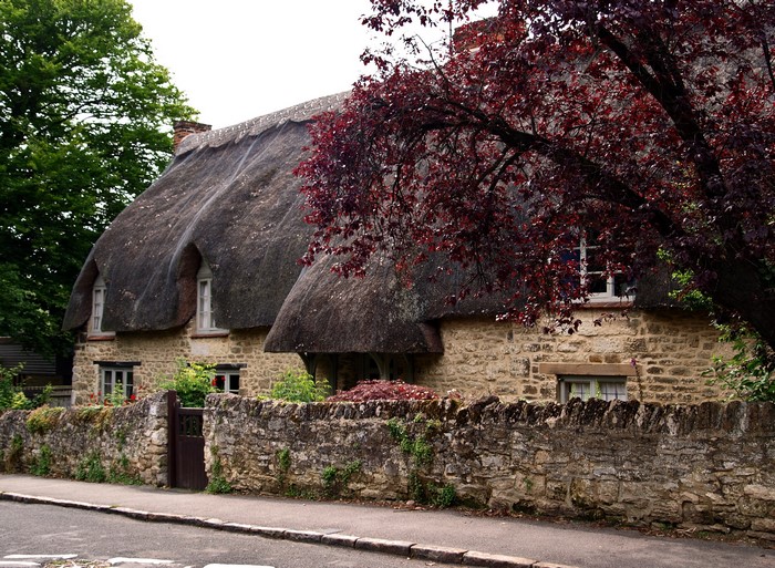Thatched cottage with stone wall in the United Kingdom