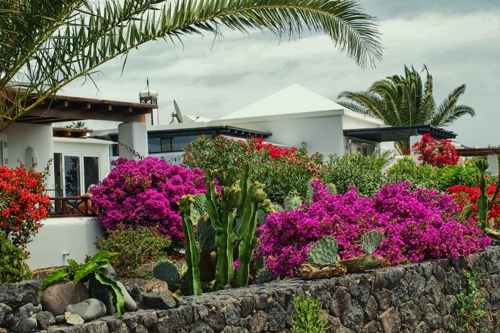 Houses and flowers in the Canary Islands, Spain