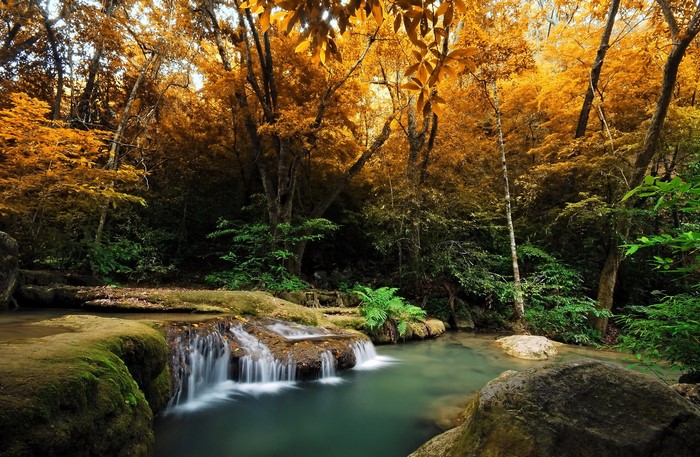 Autumn forest with a small waterfall and stream