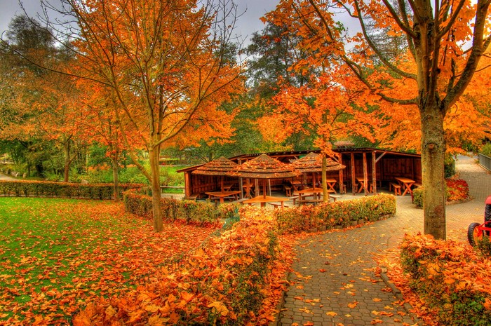 Autumn scene with picnic shelters and fallen leaves in Germany