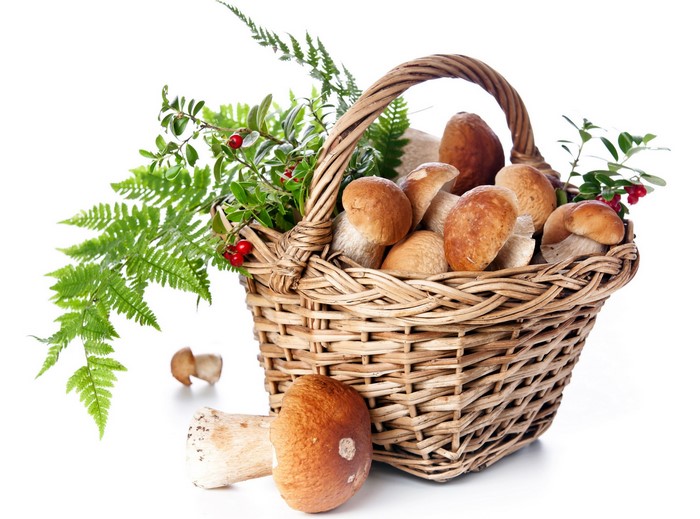 Basket of mushrooms with ferns and berries
