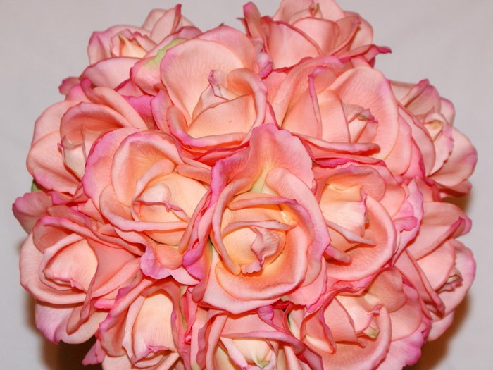A bouquet of pink and peach roses