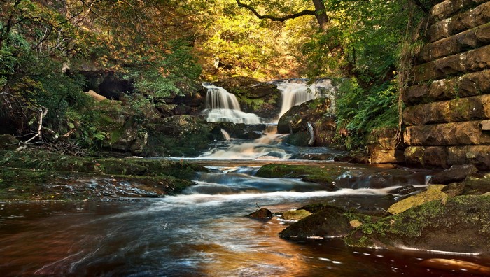 Waterfalls and stream in a forest