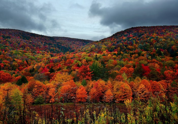 Autumn mountains in Virginia, USA