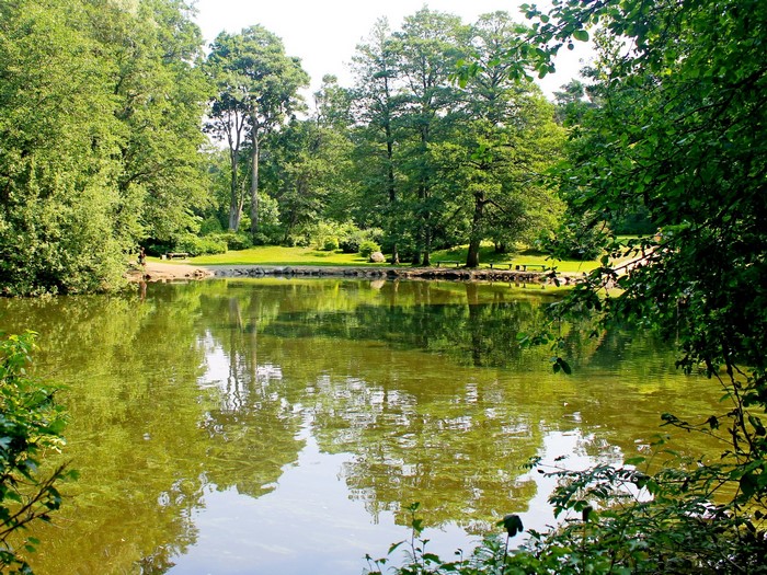 Park with a pond and trees