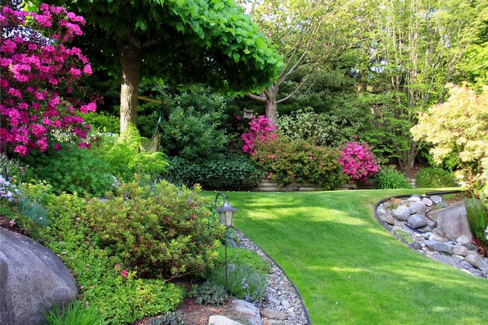 Beautiful garden with blooming azaleas and a manicured lawn