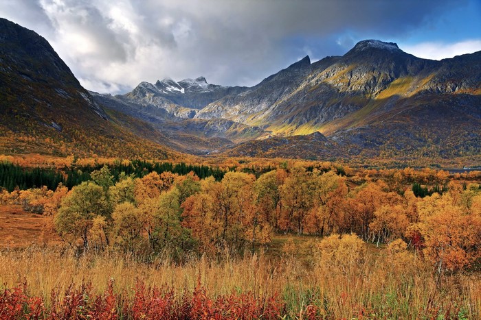 Autumn valley with mountains and colorful trees