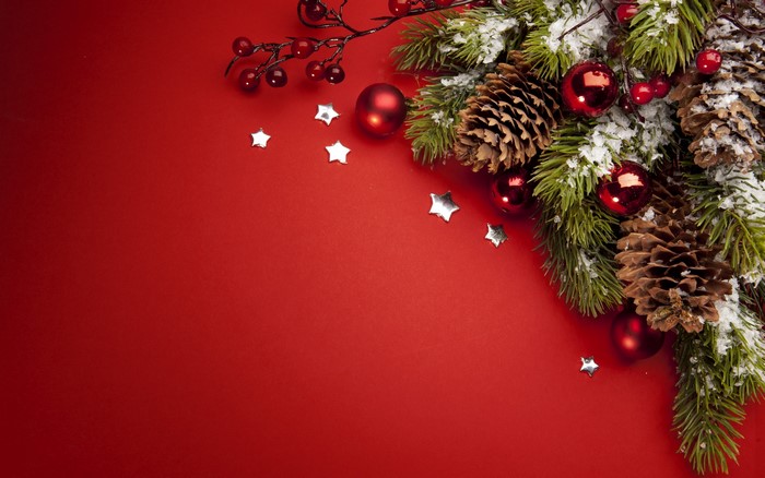 Christmas Decorations with Pine Cones and Berries
